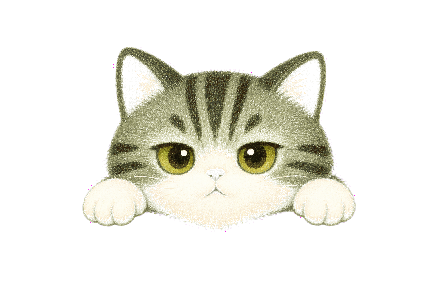カードに手をかける白鼻筋の猫キャラクター